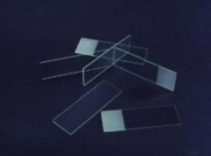 SZKIEŁKA PODSTAWOWE 1 MAT A50