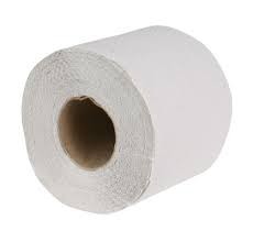 PAPIER TOALETOWY CELULOZA MAŁA ROLKA A16